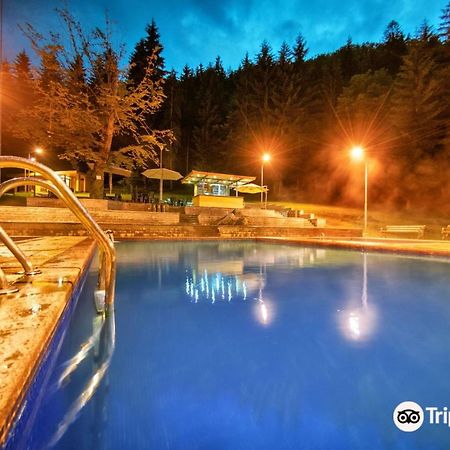Day In Borjomi Apartment Екстериор снимка